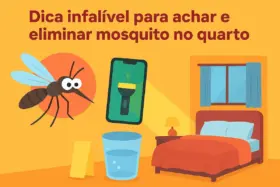 Dica infalível para achar e eliminar mosquito no quarto