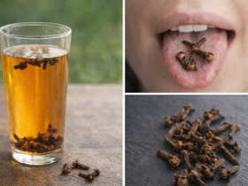 Água de Cravo-da-Índia