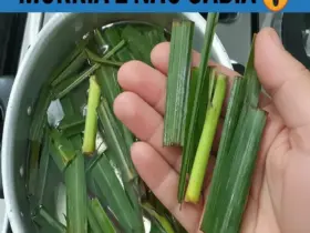 Poderoso Chá de Hortelã