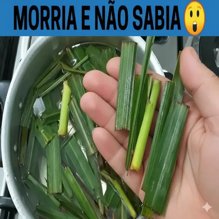 Poderoso Chá de Hortelã