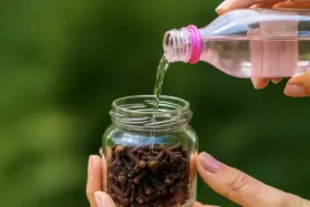 Loção tônica facial de cravo e água de rosas antirrugas