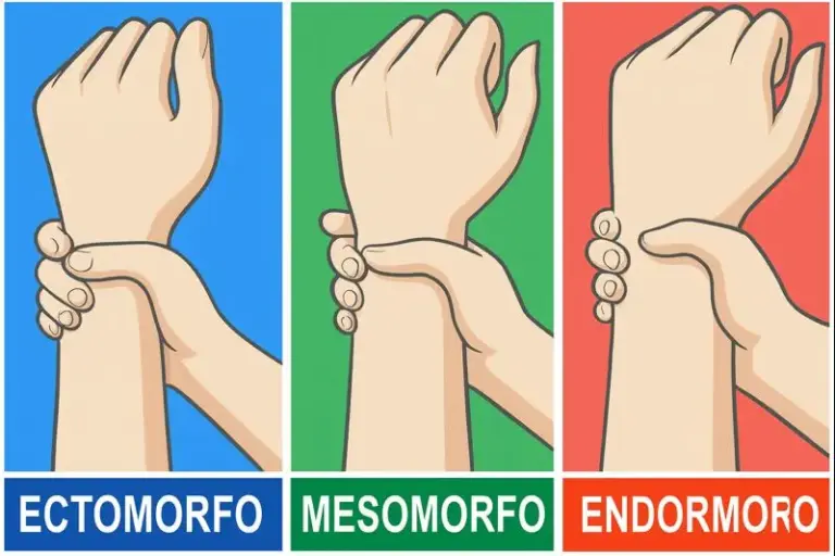 mesomorfo ou endomorfo