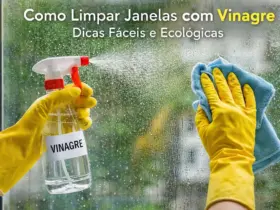 Como Limpar Janelas com Vinagre