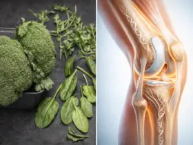 Dois vegetais que ajudam a preservar o colágeno