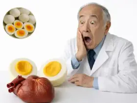 Médicos revelam o que o consumo de ovo cozido