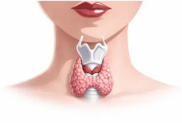 tireoide pode estar desequilibrada