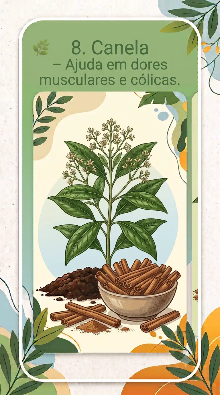 Canela – Ajuda em dores musculares e cólicas.