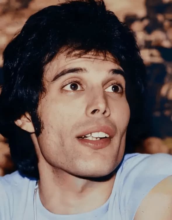 Freddie Mercury não era apenas um cantor. 