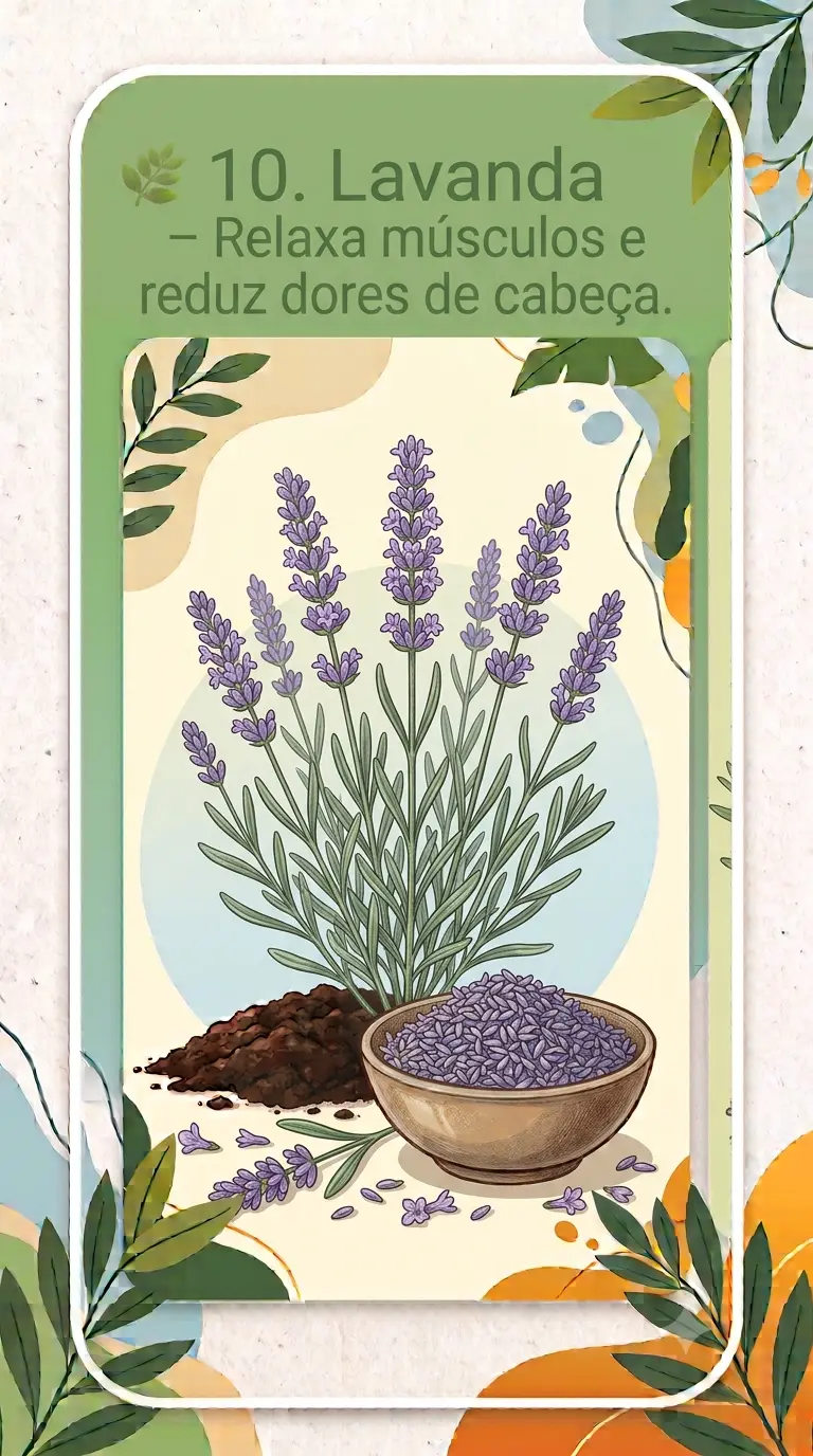 Lavanda – Relaxa músculos e reduz dores de cabeça.