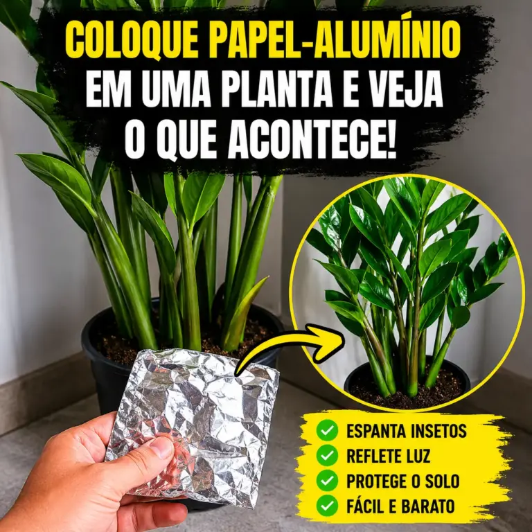 Coloque papel-alumínio em uma planta
