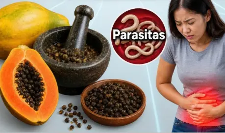 Sementes de Mamão