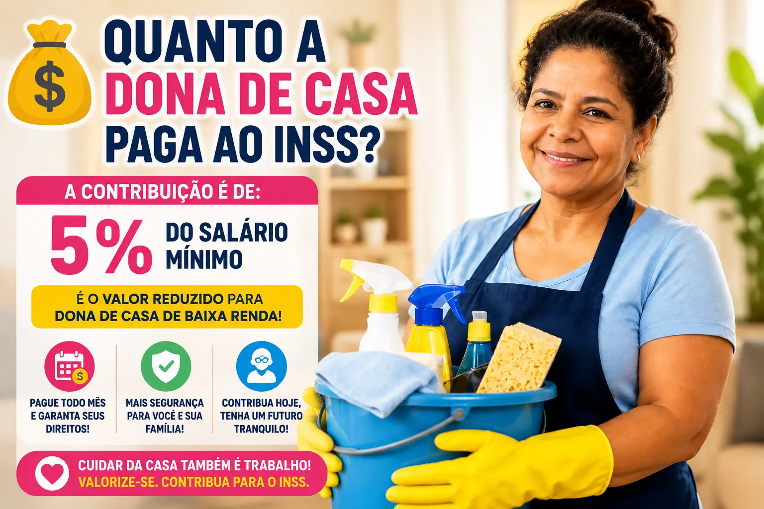 Quanto a dona de casa paga ao INSS