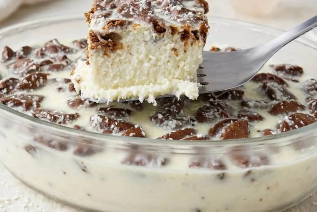 Sobremesa cremosa de coco é geladinha, fácil e fica pronta sem ir ao fogo - Imagem 1